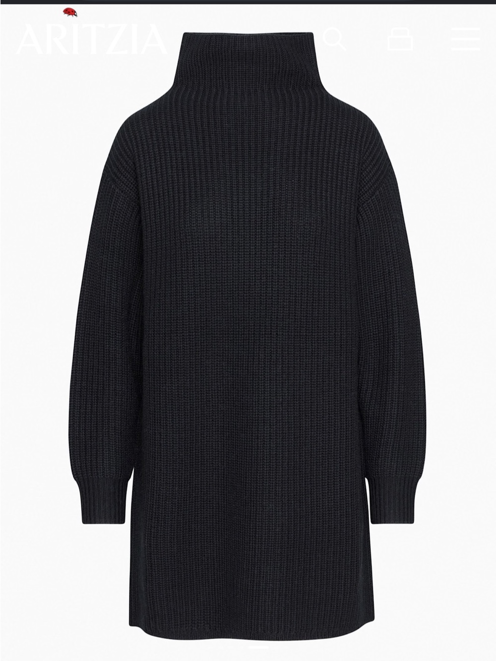 Wool Aritzia Black Turtleneck Sweater Dress
